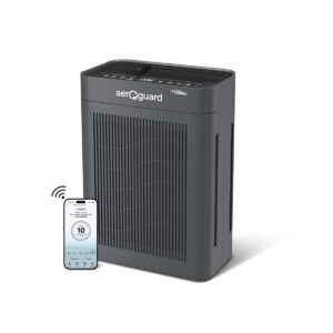Eurkeka forbes air purifier